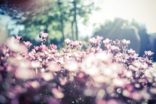 专属于90后的朋友圈独特个性签名说说合集