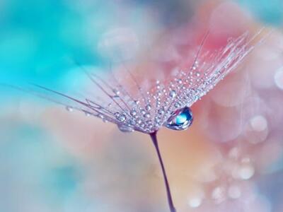 100句早安励志朋友圈的个性签名说说合集