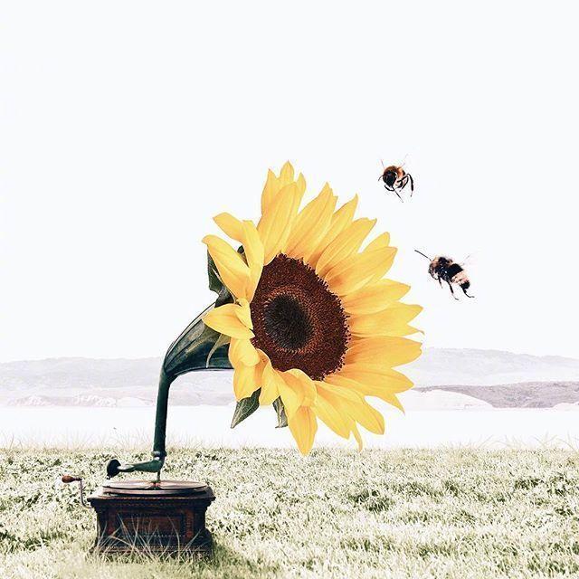 超拽霸气的QQ空间非主流专用的个性说说句子合集