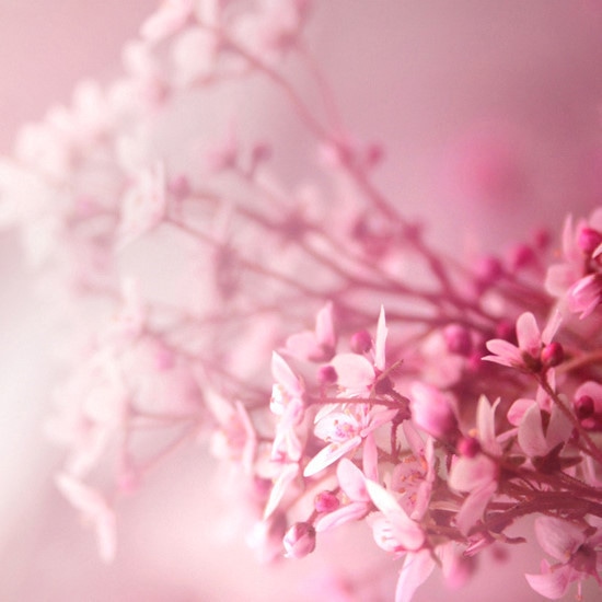 100句超级经典的QQ空间、抖音爱情个性签名合集