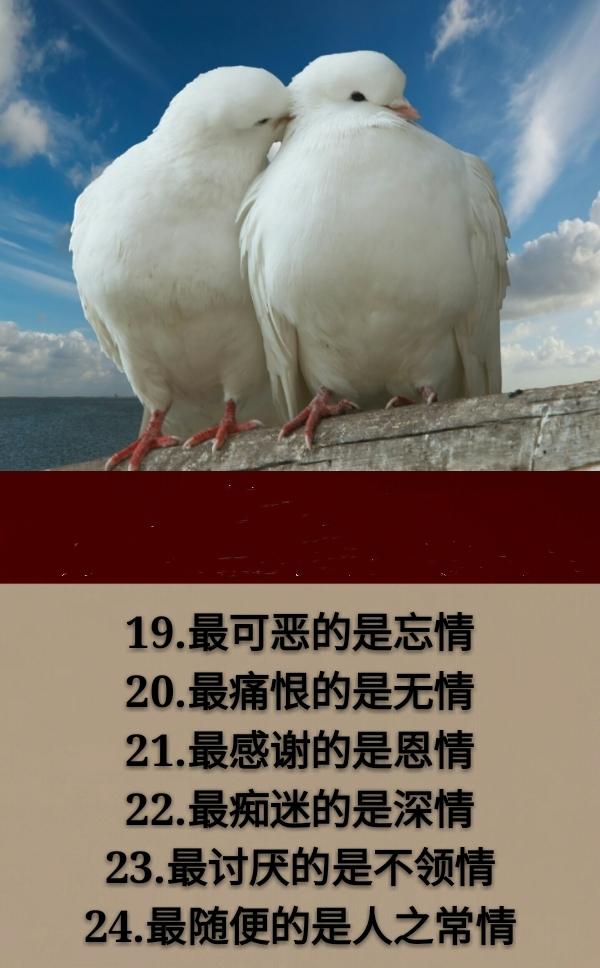 人生：24孝，24德，24最，24然，24情