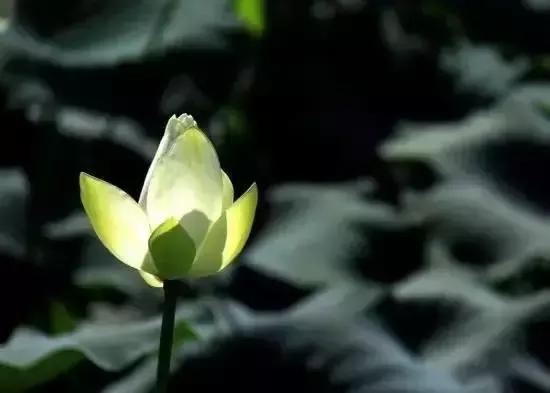 人到中年，争什么呢？