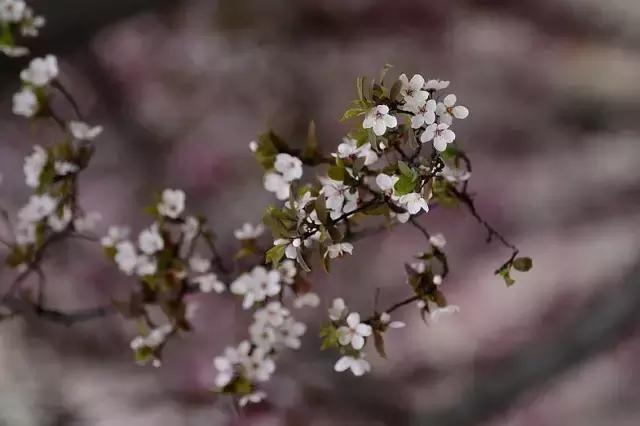 一天，一年，一生