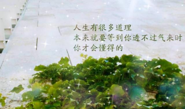 人生，总有一些路，需要自己走