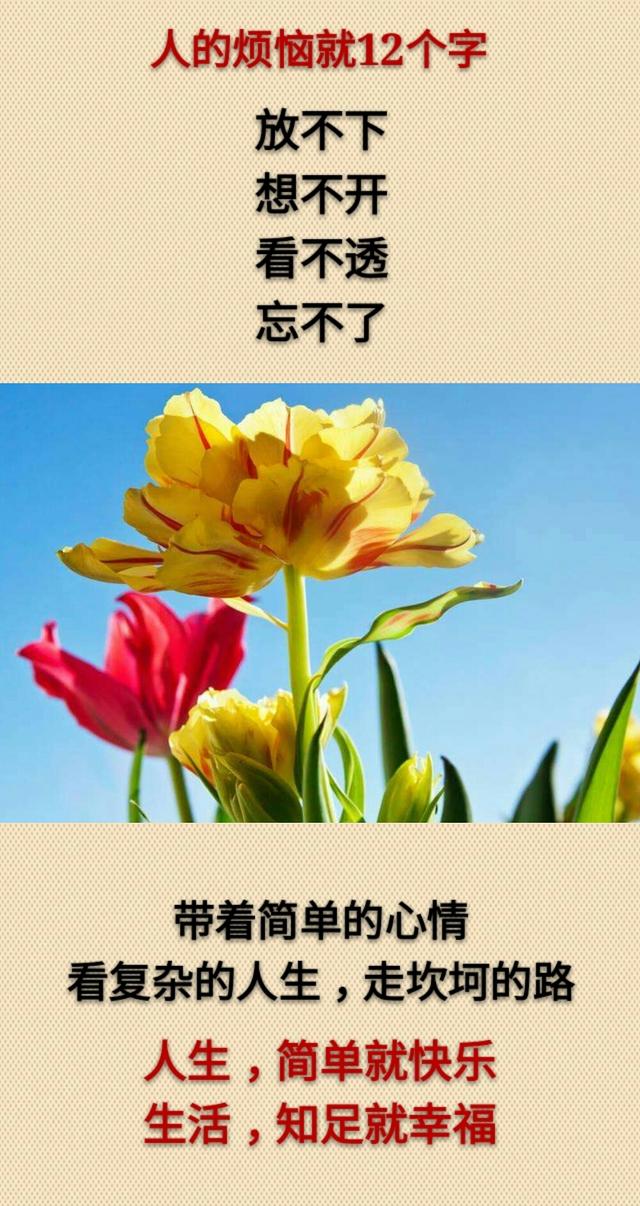 无情不过时间，薄凉不过人心