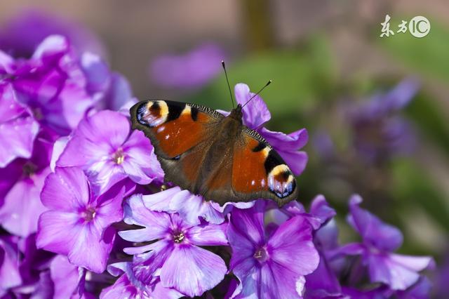 你没有经历，就不会读懂人生