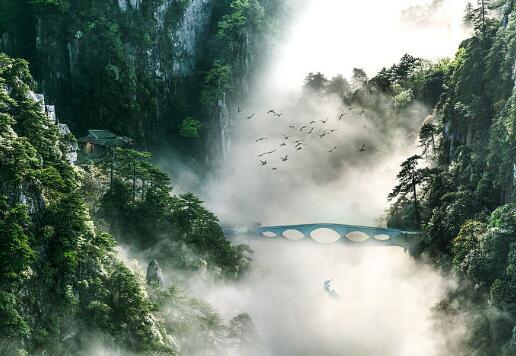 人到中年,不习三暴,不吃三饭,不养三花