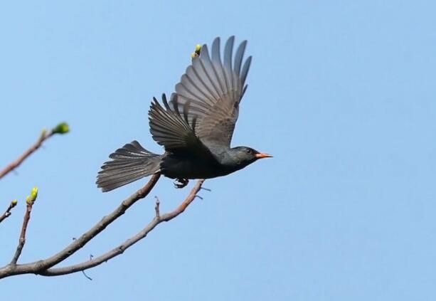 人过四十，不睡三觉，不作三病，不丢三情