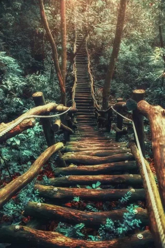 人到中年，心累，情深