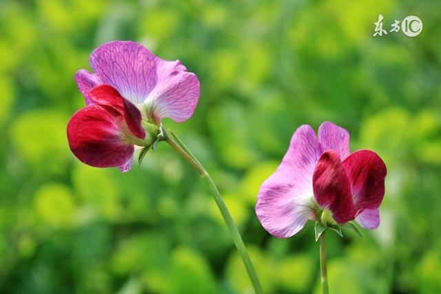 靠山山会倒，靠人人会老，靠自己才可靠