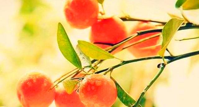 简单不复杂，平淡不平庸