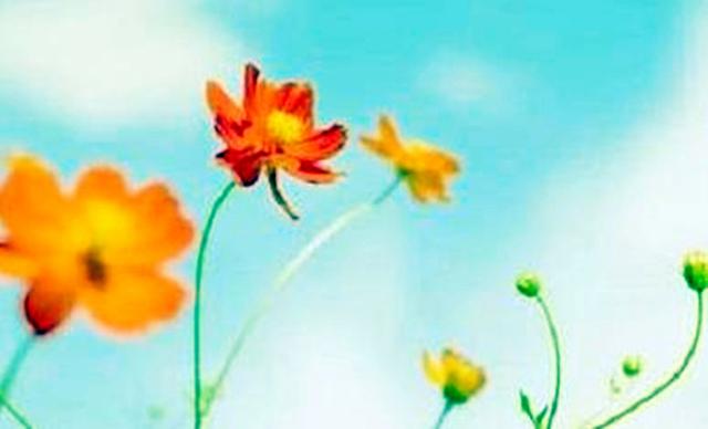 这些人生感悟，送给大家，珍惜一辈子