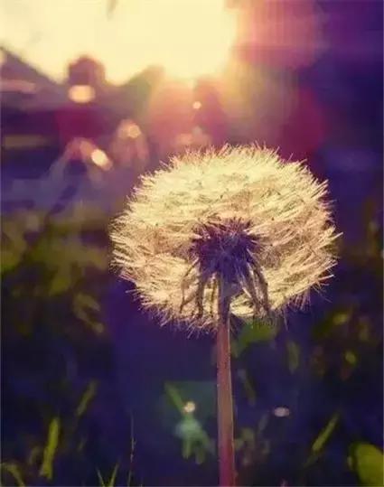 你的目光所及，就是你的人生境界