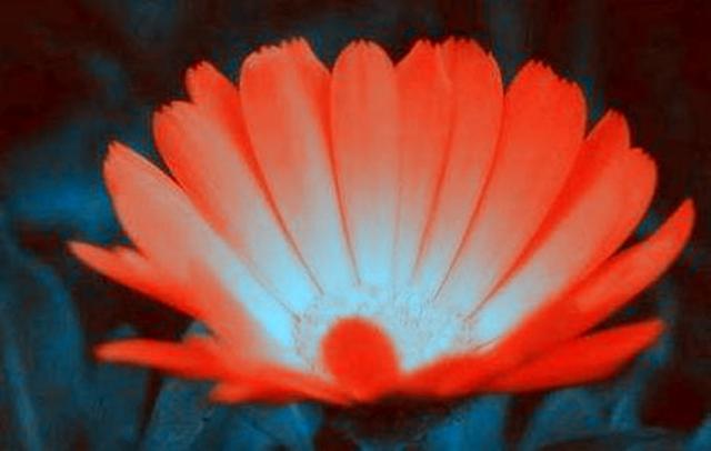 阳光总在风雨后，没有人能随随便便成功