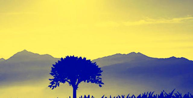 看淡，看开，看透，人生不过如此