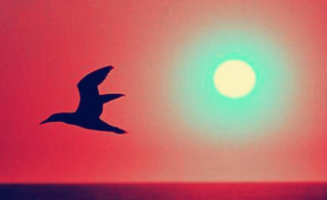 人生别说不行，要敢于说不怕