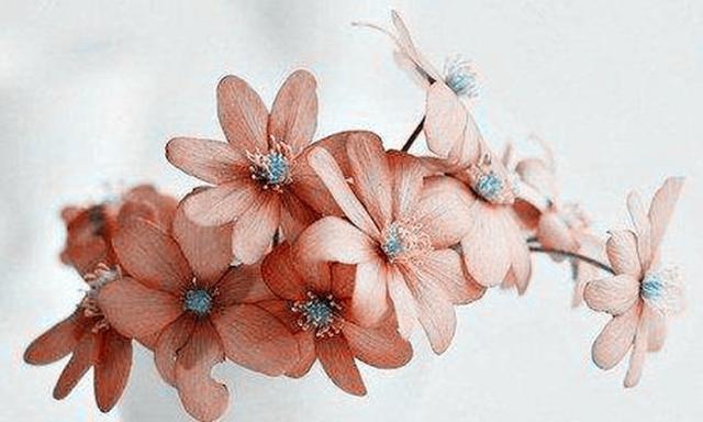 做人别太软弱，自信才能赢得人生