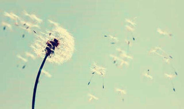 人生一辈子,不过三句话