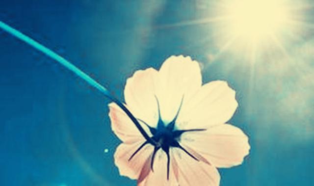 平淡人生，简单就好