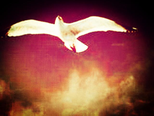 人生绝望的时候，记住这几点