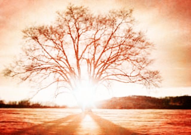 别害怕失败，成功的路上需要越挫越勇