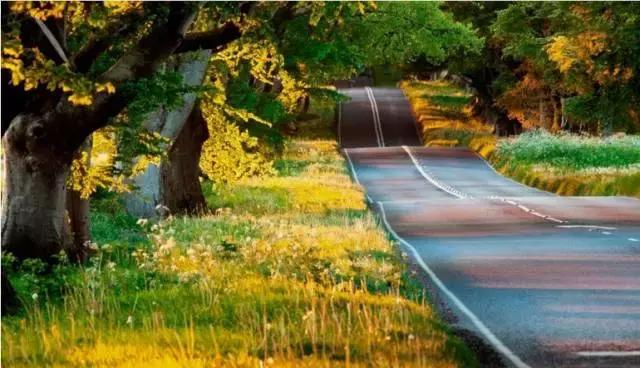 人有两条路要走，一条是必须走的，一条是想走的