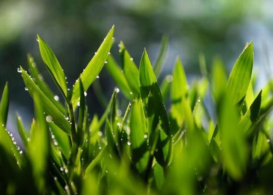 人到中年，不调三情，不欠三债