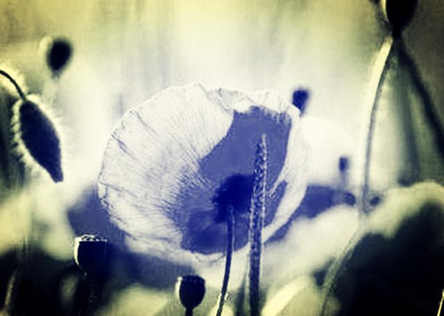 做人，就这三个字