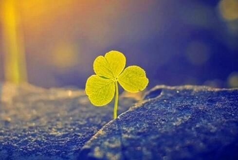 给人留下好印象的几个经典方法