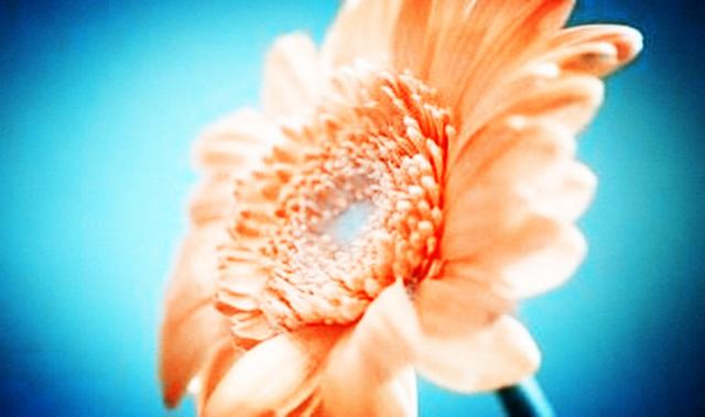 你若不珍惜，别怪我无情