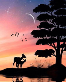 迷茫人生句子(人生迷茫的句子)