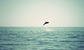 再出发的作文550字(带上努力再出发的作文)