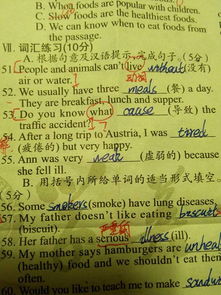 what加句子的例句 (what和how的例句 )