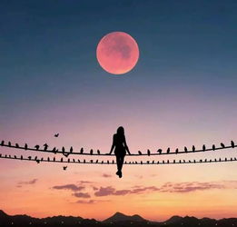 感叹人生短暂的句子(感叹人生短暂的优美句子)