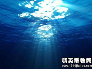 白头雪的优美句子(雪中一起白头的唯美诗句)