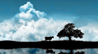 人生遇一知己的感悟(人生遇一知己，且珍惜)