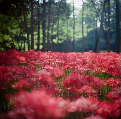 伤感的朋友圈说说