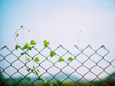 忘记伤痛的句子说说心情 忘记伤痛的说说