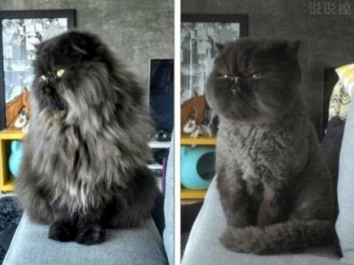 表达对爱情累了的句子说说 表达对爱情累了的说说