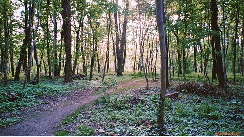 微信忧伤的心情句子 微信忧伤的说说