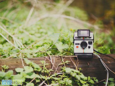 给失恋的人留言伤感 给失恋的说说