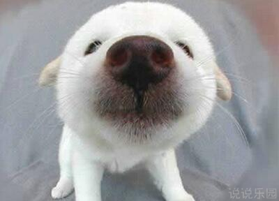 句句入心的唯美句子 句句入心的说说