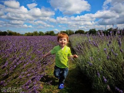 关于让人心疼的句子 关于让人心疼的说说