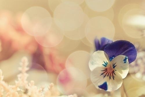 关于爱情伤感的短句 关于爱情伤感的说说