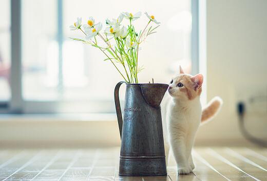 表达心累受伤的句子 表达心累受伤的说说