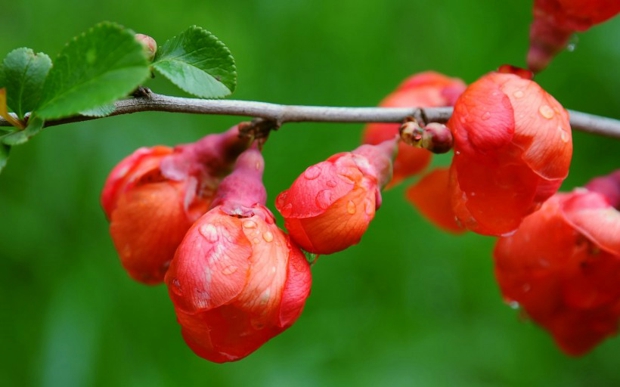 表达内心失望的句子大全 表达内心失望的说说