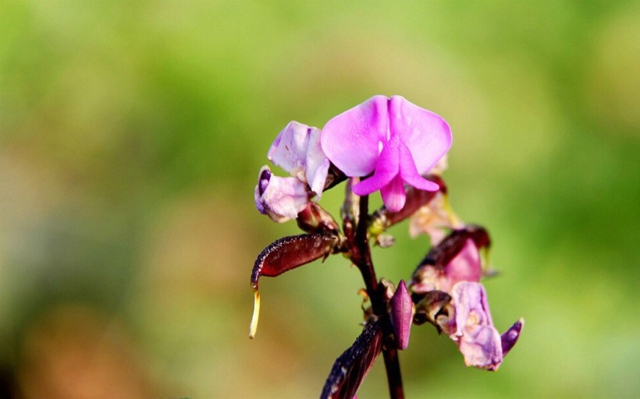 伤感唯美的爱情文艺句子 伤感唯美的说说