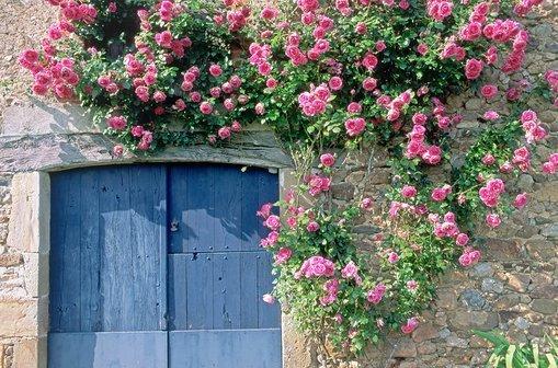 关于爱情的唯美伤感心情语录 关于爱情的说说