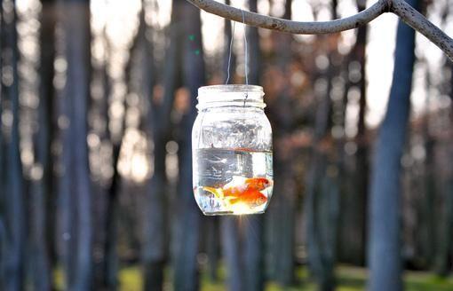 小清新伤感唯美的段落句子 小清新伤感唯美的说说