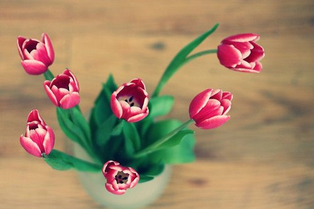 关于爱情伤心的句子 关于爱情伤心的说说